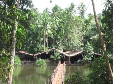 Tropical Spice Plantation